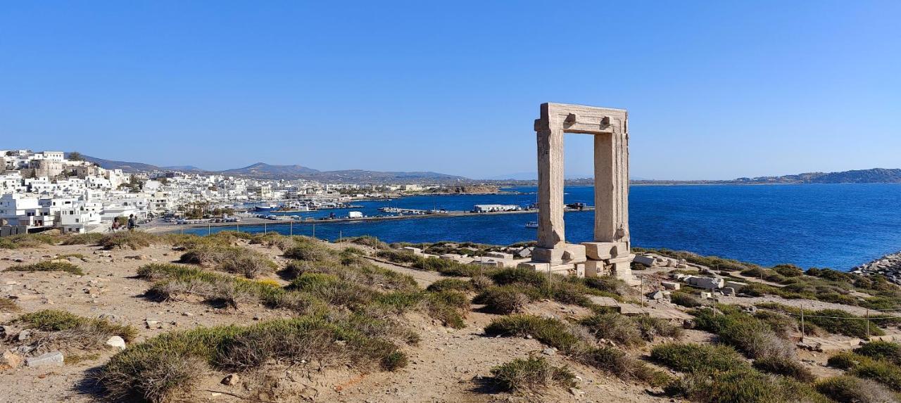 Cycladic Home On The Hill With Beautiful Views!! Agkidia المظهر الخارجي الصورة